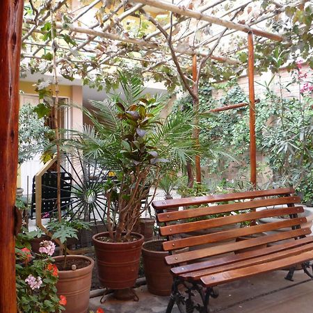 Hostal Tambo Colorado Pisco Exterior photo